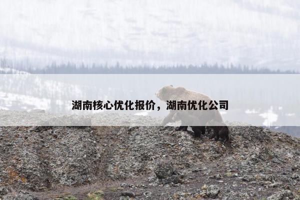 湖南核心优化报价，湖南优化公司