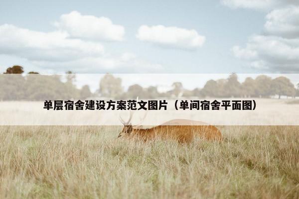 单层宿舍建设方案范文图片（单间宿舍平面图）