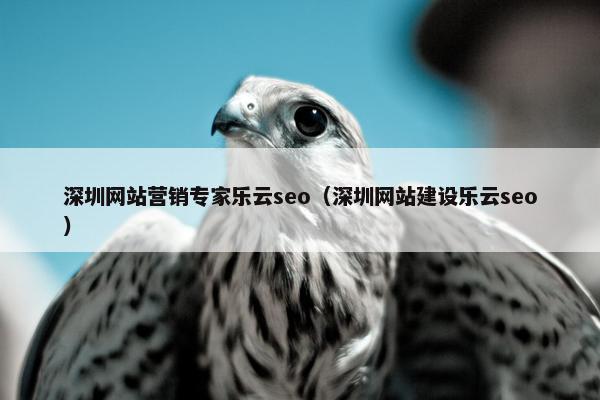 深圳网站营销专家乐云seo（深圳网站建设乐云seo）
