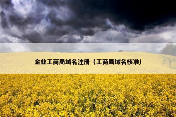 企业工商局域名注册（工商局域名核准）