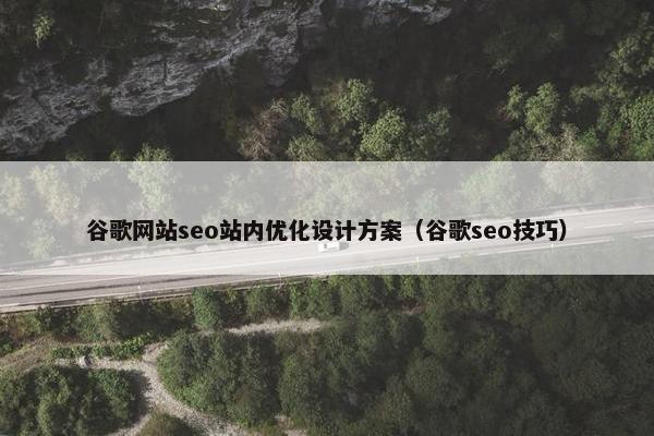 谷歌网站seo站内优化设计方案（谷歌seo技巧）