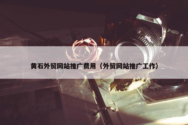 黄石外贸网站推广费用（外贸网站推广工作）