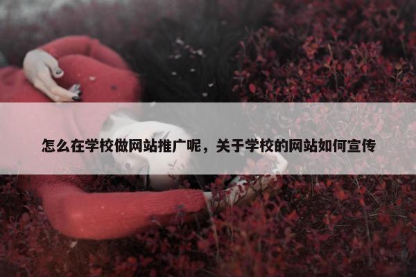 怎么在学校做网站推广呢，关于学校的网站如何宣传