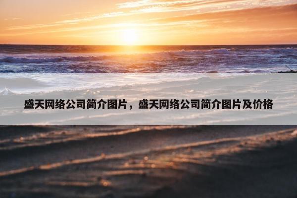 盛天网络公司简介图片，盛天网络公司简介图片及价格