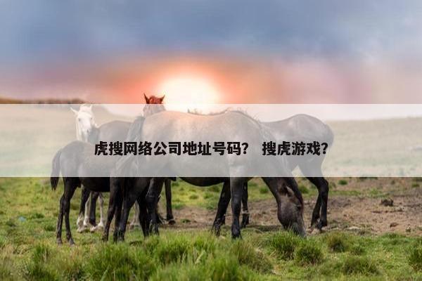 虎搜网络公司地址号码？ 搜虎游戏？