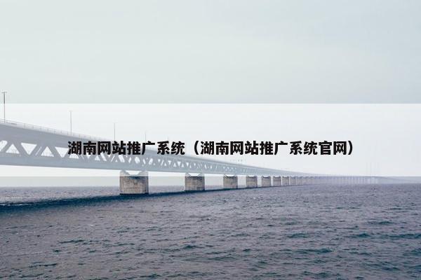 湖南网站推广系统（湖南网站推广系统官网）