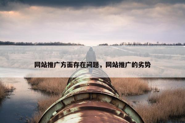 网站推广方面存在问题，网站推广的劣势