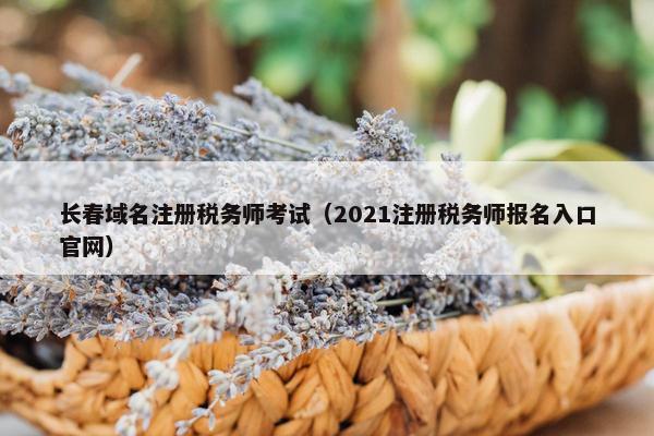 长春域名注册税务师考试（2021注册税务师报名入口官网）