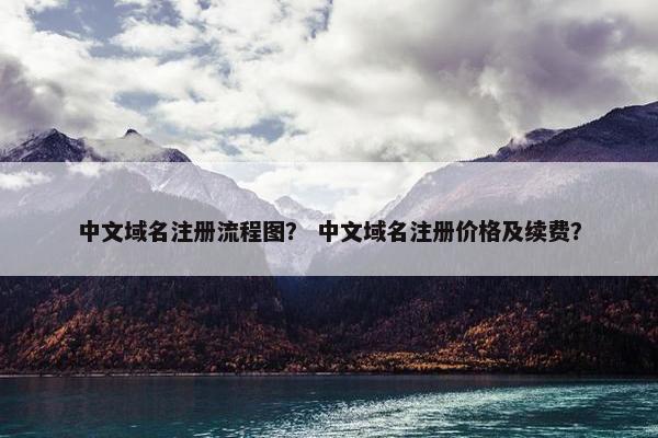 中文域名注册流程图？ 中文域名注册价格及续费？