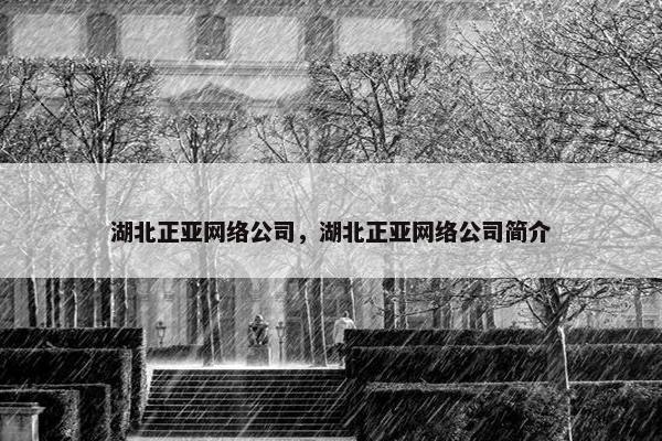 湖北正亚网络公司，湖北正亚网络公司简介