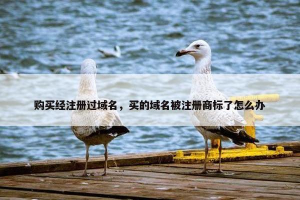购买经注册过域名，买的域名被注册商标了怎么办