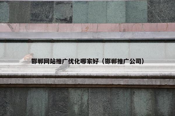 邯郸网站推广优化哪家好（邯郸推广公司）