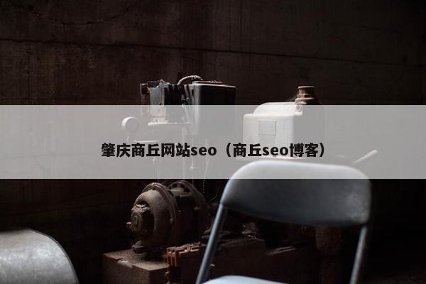 肇庆商丘网站seo（商丘seo博客）