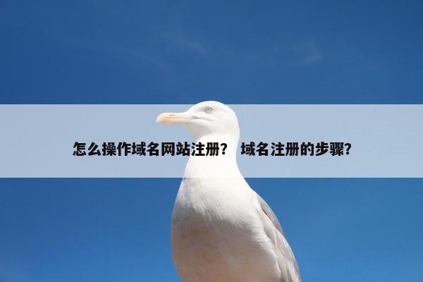 怎么操作域名网站注册？ 域名注册的步骤？