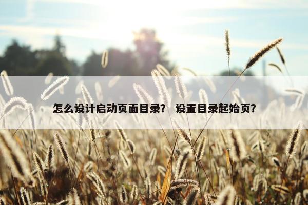 怎么设计启动页面目录？ 设置目录起始页？
