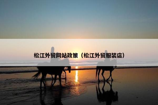 松江外贸网站政策（松江外贸服装店）