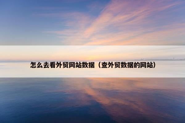 怎么去看外贸网站数据（查外贸数据的网站）