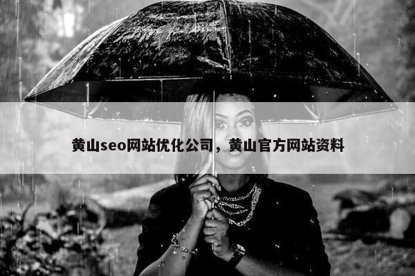 黄山seo网站优化公司，黄山官方网站资料
