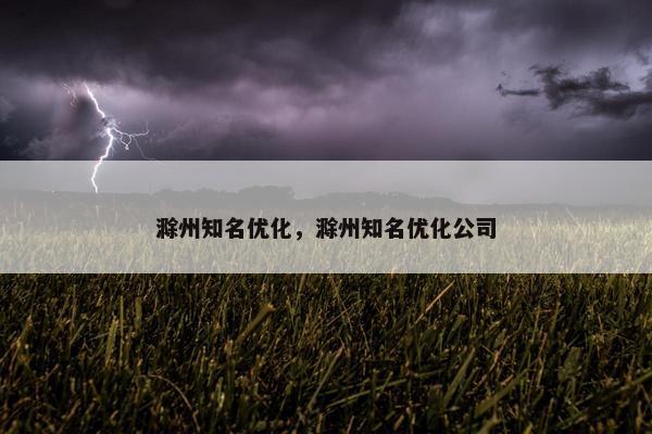 滁州知名优化，滁州知名优化公司