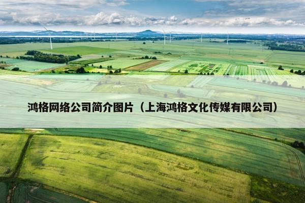 鸿格网络公司简介图片（上海鸿格文化传媒有限公司）