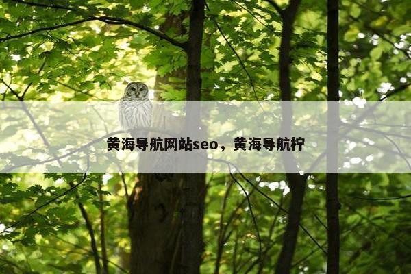 黄海导航网站seo，黄海导航柠