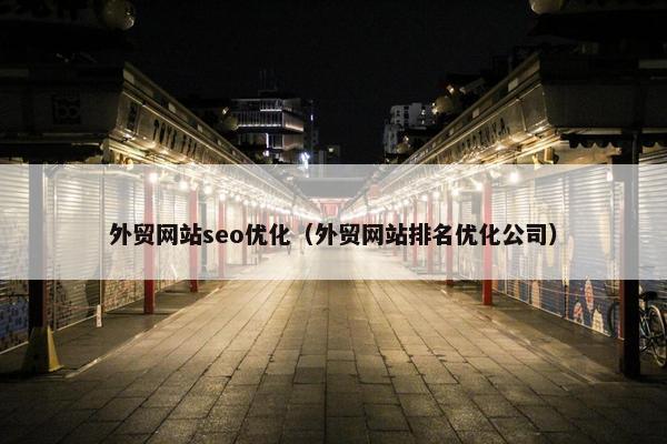 外贸网站seo优化（外贸网站排名优化公司）