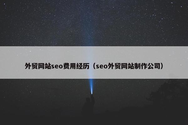外贸网站seo费用经历（seo外贸网站制作公司）