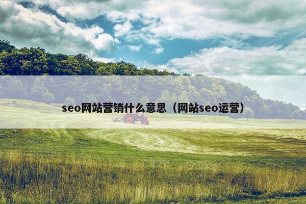 seo网站营销什么意思（网站seo运营）