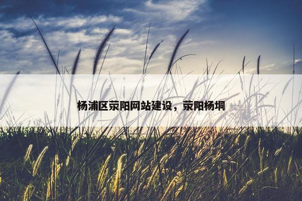 杨浦区荥阳网站建设，荥阳杨垌