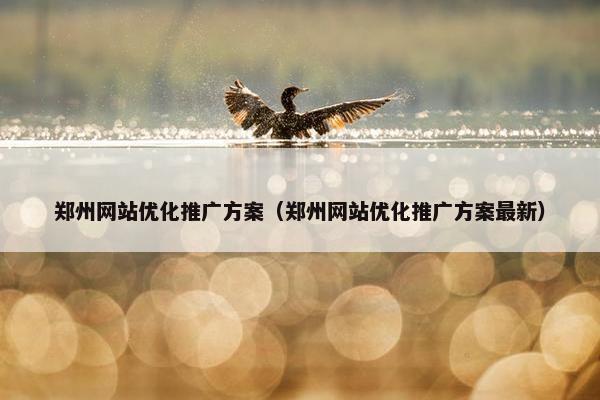 郑州网站优化推广方案（郑州网站优化推广方案最新）