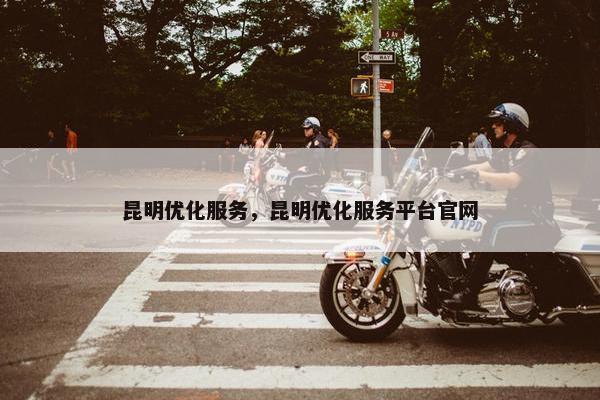 昆明优化服务，昆明优化服务平台官网