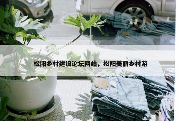 松阳乡村建设论坛网站，松阳美丽乡村游