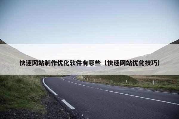 快速网站制作优化软件有哪些（快速网站优化技巧）