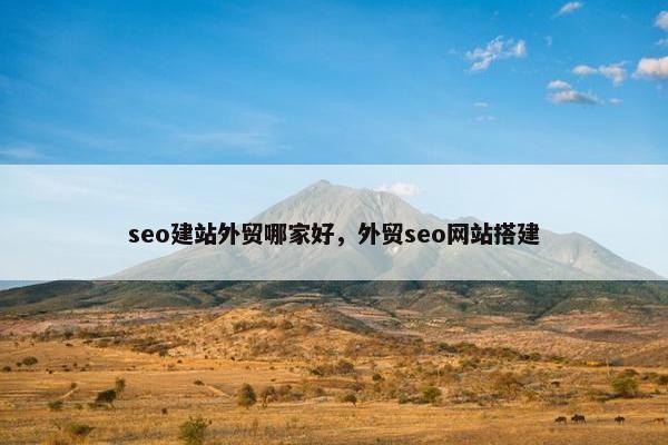 seo建站外贸哪家好，外贸seo网站搭建