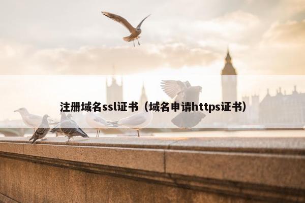 注册域名ssl证书（域名申请https证书）
