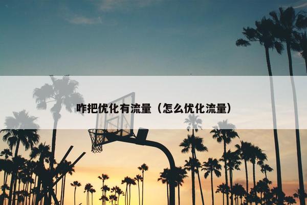 咋把优化有流量（怎么优化流量）
