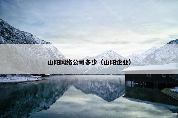 山阳网络公司多少（山阳企业）