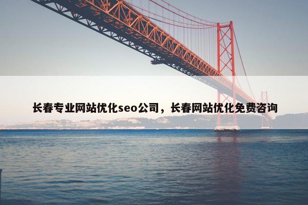 长春专业网站优化seo公司，长春网站优化免费咨询