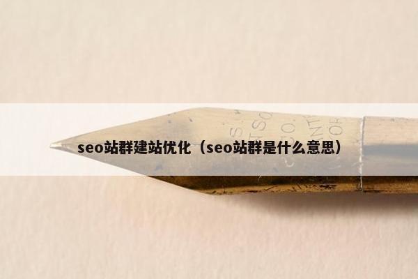 seo站群建站优化（seo站群是什么意思）