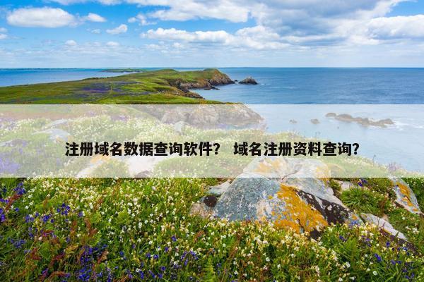 注册域名数据查询软件？ 域名注册资料查询？