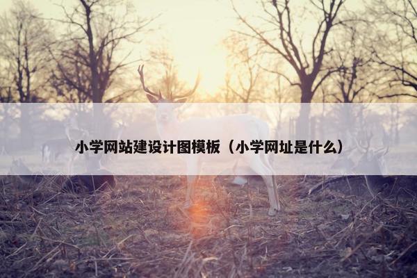小学网站建设计图模板（小学网址是什么）