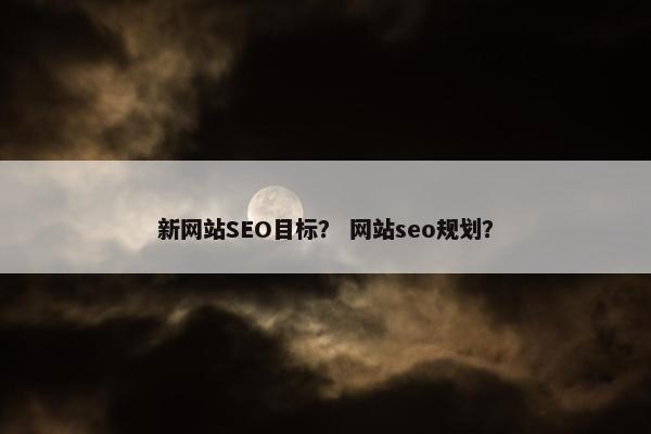新网站SEO目标？ 网站seo规划？