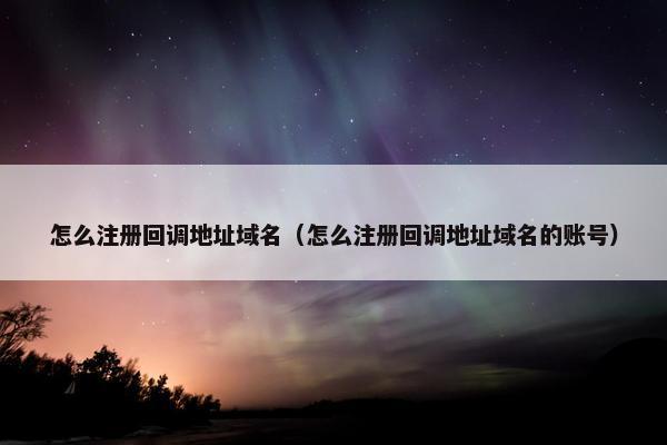 怎么注册回调地址域名（怎么注册回调地址域名的账号）