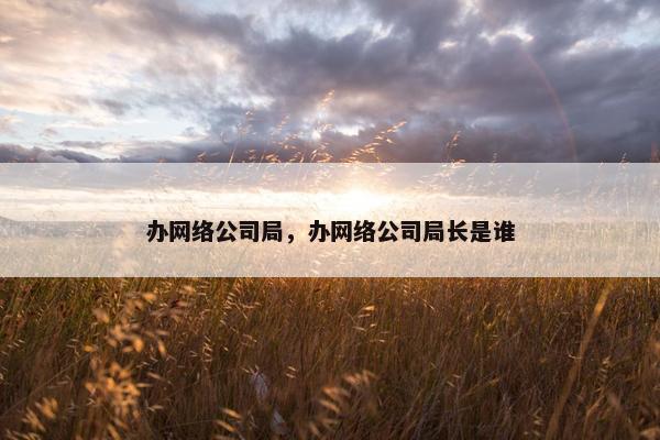 办网络公司局，办网络公司局长是谁