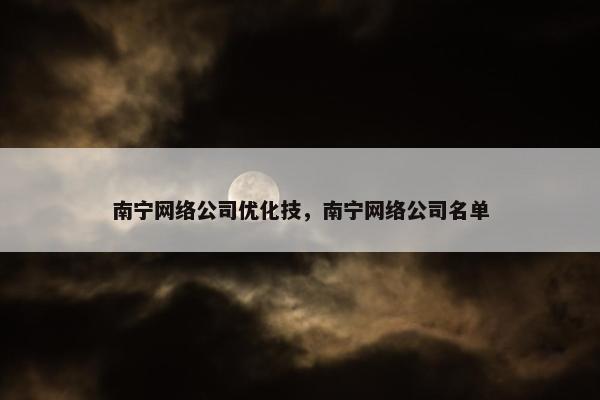 南宁网络公司优化技，南宁网络公司名单
