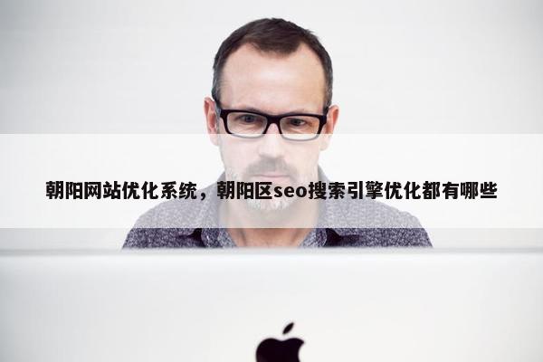 朝阳网站优化系统，朝阳区seo搜索引擎优化都有哪些