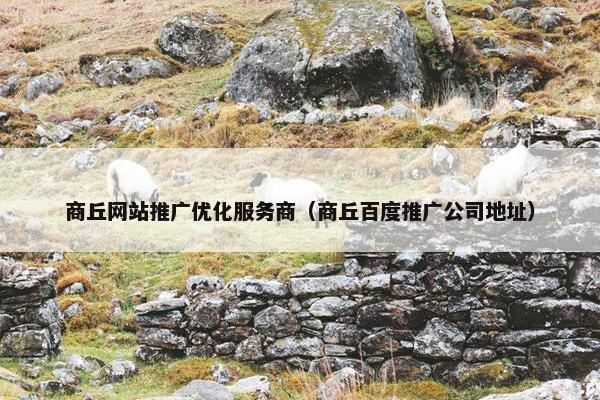 商丘网站推广优化服务商（商丘百度推广公司地址）