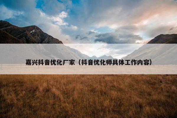 嘉兴抖音优化厂家（抖音优化师具体工作内容）