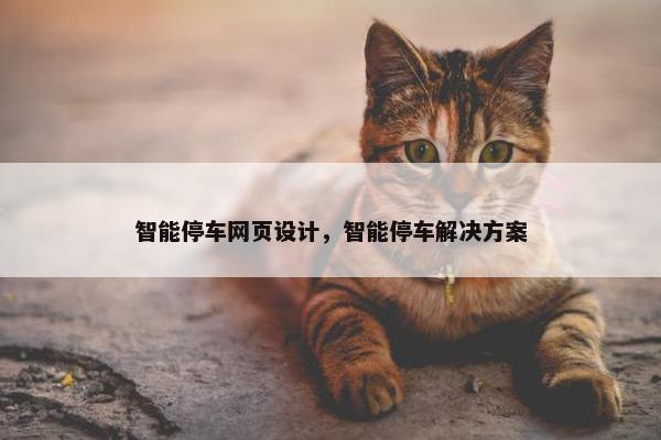 智能停车网页设计，智能停车解决方案