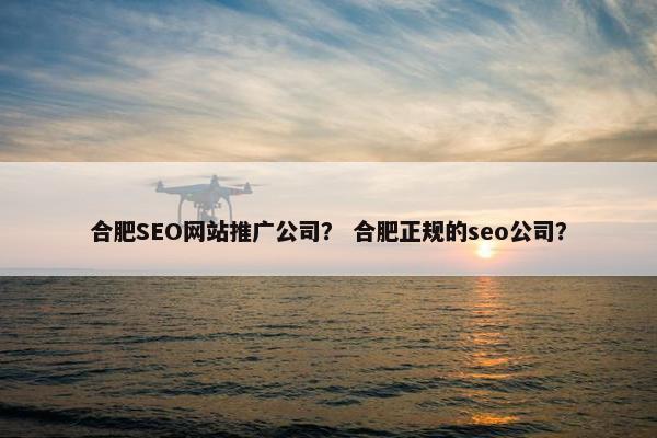 合肥SEO网站推广公司？ 合肥正规的seo公司？